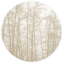 Fototapeta Forest cichy zimowy las - Böhmer - okrągła - samoprzylepna/nieprzylepna