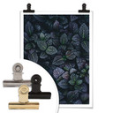 Plakat Botaniczny kontrast