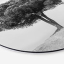 Tableau sur alu-Dibond rond Martin - Arbre en noir et blanc