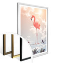 Plakat Loose - Flamingo i przyjaciele
