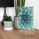 Bordskærm Agave 02