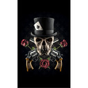 Fototapeta Damstén - Guns and Roses