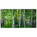 3 stykke lærredstryk, Birch Forest Green