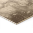 Houten Wanddecoratie paardenbloemen droom in beige - Ms Tiff