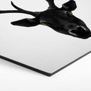 Hexagone - Tableau sur alu-Dibond Ireland - The Cerf noir