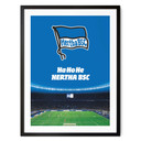 Poster Hertha BSC - HaHoHe