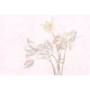 Fotomural Paredes de Patel 3 Morning Room 1 morado, amarillo, beige, gris, rosa