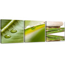 3 stykke lærredsprint, 3 stykker Natur Zen Leaf