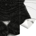 Papier peint photo rond Chat noir avec masque de nuit - Korenkova