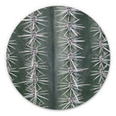 Tableau sur alu-Dibond rond 1X Studio - Cactus