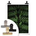 Plakat Botaniczny 02 