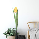 Sticker mural Tulipe jaune 