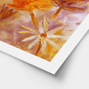 Plakat Golden Blossom Rush - Pomata