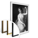 Plakat - Fagnani - Terpsichore