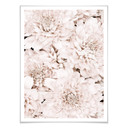 Plakat 1X Studio - Aster Apricot