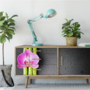 Zelfklevende Poster Orchid and Bamboo