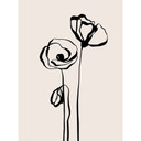 Fototapeta z motywem kwiatowym Line Art Dwa maki - Cats & Dotz