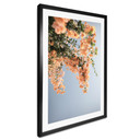 Plakat Kwiaty w kolorze brzoskwini w Assos - Nakręcony przez Clinta
