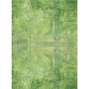 Fototapet Green Patina - 192x260 cm