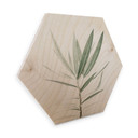 Hexagon Hout Sisi & Seb - Oleander
