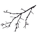 Wallsticker 2-farvet Gren 01