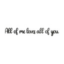 Akrylowa dekoracja z napisem 3D All of me loves all of you