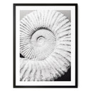 Plakat Fossil shell - Nakręcony przez Clinta