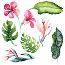 Kvilis Wallsticker - Tropiske planter
