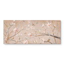 Crédence de Cuisine Oiseaux sur Fleurs de Cerisier - Cheney