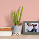 Pintura interior rosa seda mate I Lucky Litchi | ambiente tranquilo y acogedor | LA COCINA DE COLOR