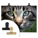Plakat Cuadrado - W twoich oczach