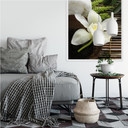 Poster autocollant - W - Wellness Orchidee