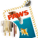 Plakat Loose - Paws