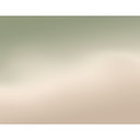 Fototapeta Ombre - Leśna mgła