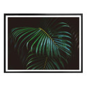 Plakat Botaniczny 04