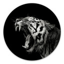Hexagone - alu-Dibond Meermann - Le tigre - Rond