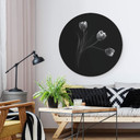 Tableau en Alu-Dibond Pan - Trio de tulipes - Rond
