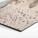 Hexagone - alu-Dibond 1X Studio - Montée de plage sur les dunes
