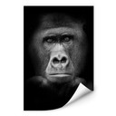 Muurprints Gorilla
