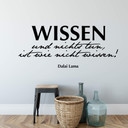 Wandtattoo Wissen und nichts tun, ist wie nicht wissen