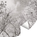 Drzewa na niebie - okrągła Fototapeta - tapeta flizelinowa/tapeta flizelinowa samoprzylepna