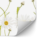 Revêtement pour cuisine Disher - Ox eye Daisies