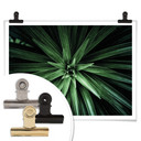 Plakat Botaniczny