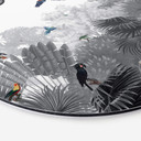 Tableau sur alu-Dibond rond Kikki Belle - Tropical Birds