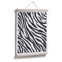 Plakat Zebra - Próbki