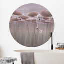 Wandtattoo Lotusblumen mit Schwan im Wasser in Altrosa - Ms Tiff - Rund