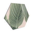 Hexagon Dibond Calathea-plante - Sisi & Seb