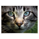 Plakat Cuadrado - W twoich oczach