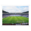 Poster 1. FC Magdeburg - Stadion Choreo