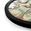 Plakat Haeckel - Kolibry - okrągły